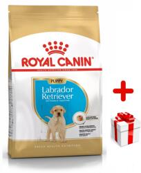 Royal Canin ROYAL CANIN Labrador Retriever Puppy 12kg + MEGLEPETÉS A KUTYÁDNAK