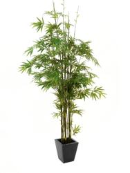 EUROPALMS Bambusz fekete törzs mesterséges növény 240cm (82509247)