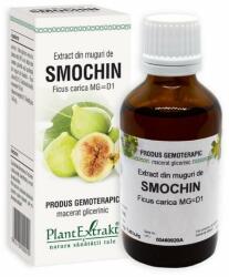 PlantExtrakt Extract din muguri de SMOCHIN, 50 ml
