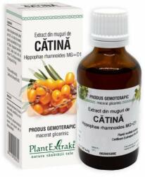 PlantExtrakt Extract din muguri de CATINA, 50 ml