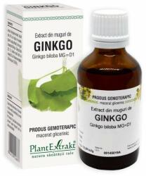 PlantExtrakt Extract din muguri de GINKGO, 50 ml