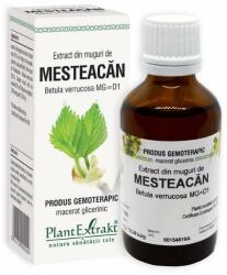 PlantExtrakt Extract din muguri de MESTEACAN, 50 ml