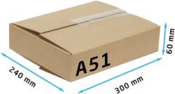 Fiorex Kartondoboz, A51 S, 300x240x60 mm TF doboz
