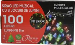 Regency Instalatie de Craciun- sirag luminos muzical- cu 8 jocuri de lumini- 100 LED-uri multicolore- 5 m (MGH-105517)