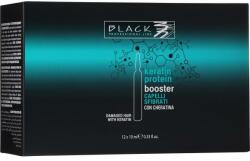 Black Professional Booster cu cheratină pentru păr deteriorat - Black Professional Line Keratin Protein Booster 12 x 10 ml