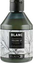 Black Professional Șampon pentru volum - Black Professional Line Blanc Volume Up Shampoo 300 ml