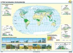 A Föld természetes növénytakarója iskolai falitérkép - egyoldalas - választható méret, nyelv - fóliás, alul-felül faléces