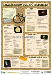 Nemi betegségek 2. -3. (vírusok) / (bakteriális fertőzések) FIXI-tanulói munkalap