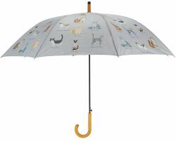  Cicás esernyő (TP393)