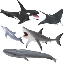 CollectA Set de 5 figurine pictate manual Viata Marina (COL84072WB) - bekid Figurina