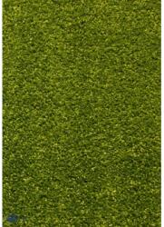 Delta Carpet Covor Dreptunghiular, 80 x 150 cm, Verde, Kolibri 11000/130 (KOLIBRI-11000-130-0815)