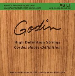 Godin Strings Acoustic Guitar LT