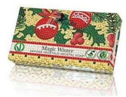 Florinda Săpun natural pe bază de uleiuri vegetale Magic Winter - Florinda Vegetal Soap Magic Winter 100 g