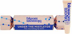 Bloom & Blossom Under the Mistletoes set cadou