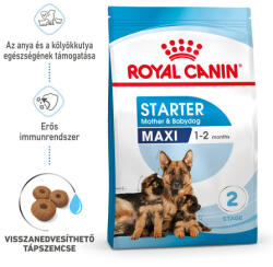 Royal Canin Maxi Starter - Száraz táp nagy testű vemhes szuka és kölyök kutya részére 2 hónapos korig 15 kg