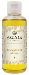 Ulei pentru masaj energizant, 100 ml, Faunus Plant