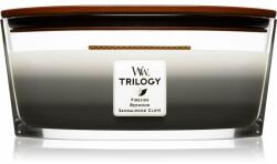 WoodWick Trilogy Warm Woods lumânare parfumată cu fitil din lemn (hearthwick) 453.6 g