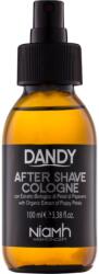 DANDY After Shave after shave 100 ml