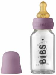BIBS - Set complet biberon din sticla anticolici, 110 ml, Mauve (5013300)