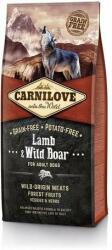 CARNILOVE Adult Lamb & Wild Boar (2 x 12 kg) 24 kg (168896)