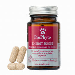 Pro-Vet ProPhyto Energy Boost - Supliment nutritiv - 30cpr