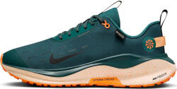 Nike Pantofi de alergare Nike InfinityRN 4 GORE-TEX fb2204-300 Marime 42, 5 EU (fb2204-300)