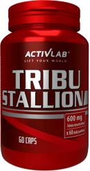 ACTIVLAB Tribu Stallion 60 tab
