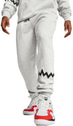 PUMA Pantaloni Puma Hoops Team Sweat Pant 676649-03 Marime S