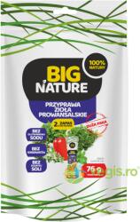 BIG NATURE Condiment Ierburi de Provence 76g