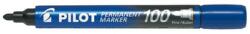 Pilot Set 12 markere permanente Pilot P100 diverse culori 2-4.5 mm varf rotund albastru (PSCA-100-L-P)