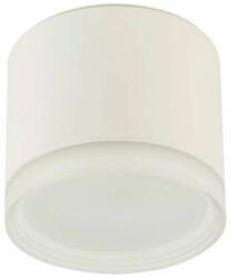 Nowodvorski SILBA mennyezeti lámpa, fehér, GX53 foglalattal, 1x12W, TL-10476 (TL-10476)