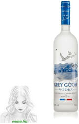 GREY GOOSE original vodka 0, 7 l 40% (50100)