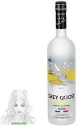  Vodka grey goose le citron (1l 40%) (VBAC1F0750)