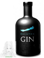 Gin, Balaton Gin 0, 7L (40%) (BAL07L)