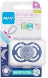 MAM Perfect Night Silicone Pacifier 6m+ Bears suzete 1 buc pentru copii