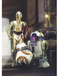 Komar Fototapet hârtie 4-447 Disney Edition 4 Star Wars 3 Droids 184x254 cm