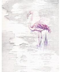 Komar Fototapet vlies 6007A-VD2 Pink Flamingo 200x250 cm (6007A-VD2)
