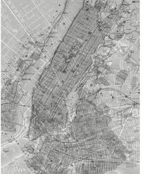 Komar Fototapet vlies P033-VD2 NYC Map 200x250 cm (P033-VD2)