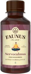 Faunus Plant Tinctura Nervocalmus pentru relaxare si echilibru emotional, 200 ml, Faunus Plant