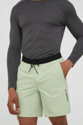 adidas TERREX pantaloni scur��i outdoor Lite H51496 barbati, culoarea verde PPYY-SZM0GK_81X