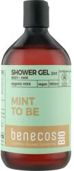 Benecos Gel de duș 2în1 - Benecos Shower Gel and Shampoo Mint 500 ml