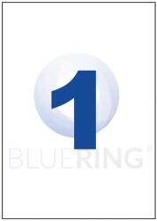 Bluering Etikett címke, 210x297mm, 100 lap, 1 címke/lap Bluering® (BRET111) - irodaitermekek