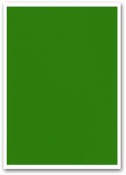 Bluering Etikett címke, 210x297mm, 1 címke/lap zöld Bluering® (BRET111Z) - irodaitermekek