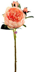 D&D Selyemvirág rózsa szálas 67 cm barack (DD61220)