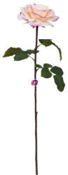 D&D Selyemvirág kerti rózsa szálas 67 cm krém (DD61271)