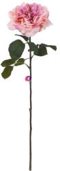 D&D Selyemvirág rózsa szálas 65 cm barack (DD61286)