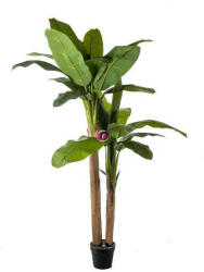 D&D Selyemvirág Banán pálma kaspóban műanyag 200cm zöld (A22155)