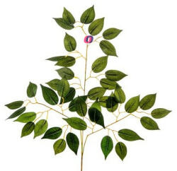 D&D Selyemvirág Ficus ág műanyag 56cm zöld (A2418906)