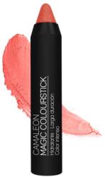 Camaleon Cosmetics N9 4 g