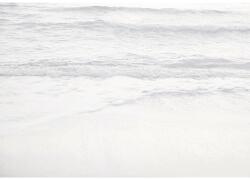Komar Fototapet vlies R4-047 Silver Beach 400x280 cm (R4-047)